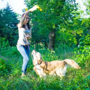 Джутовая кусалка с ручкой «Agility Dog» для голден ретривера